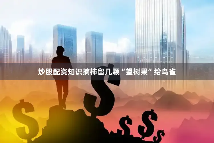 炒股配资知识摘柿留几颗“望树果”给鸟雀